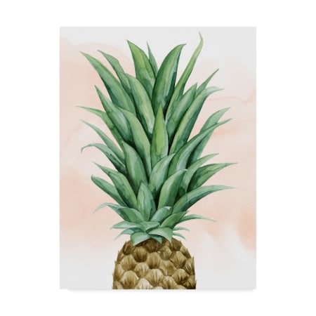 Grace Popp 'Pineapple On Coral Ii' Canvas Art,24x32